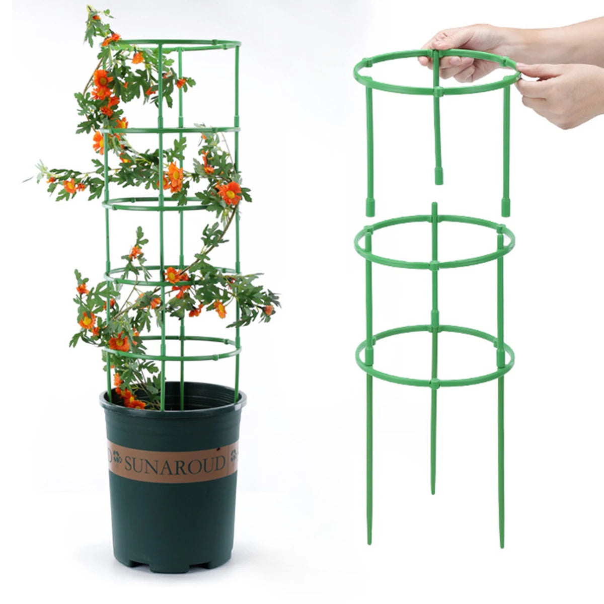 No-Fuss Plant Supports – Perfect for Flowers, Fruits & Veggies!