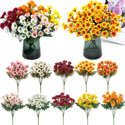 SunsetBloom™ – Everlasting Outdoor Mums