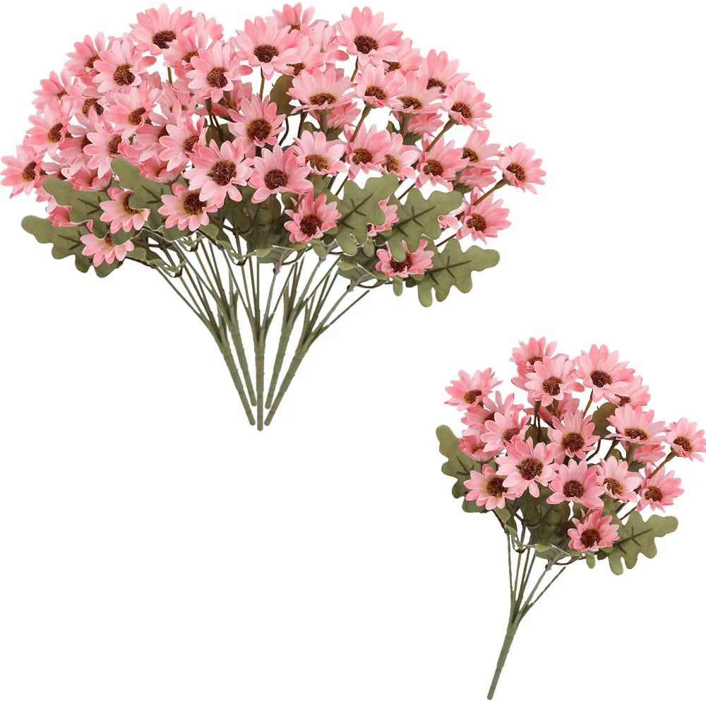 SunsetBloom™ – Crisantemos de exterior duraderos