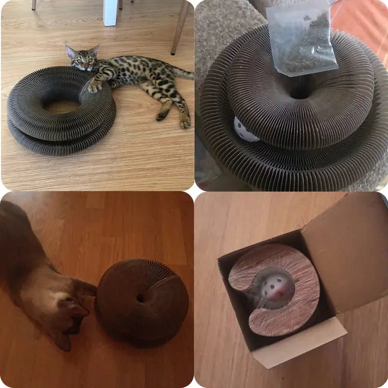 Magic Organ Cat Toy Cats Scratcher Scratch Board Round Corrugated AliExpress