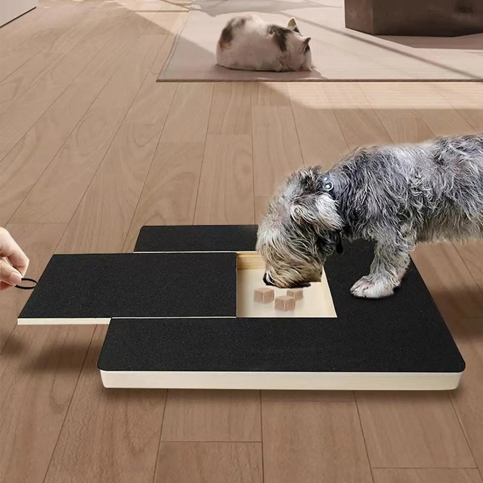PawTrim™ Scratch Board 🐶✨ — Easy Nail Care with Treat Rewards