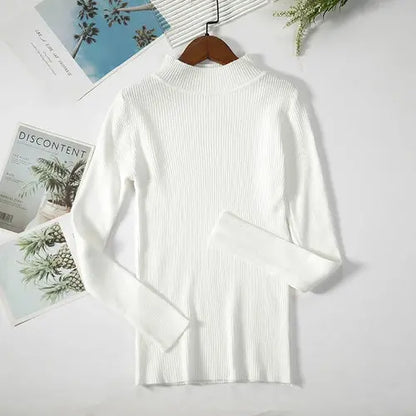 Women Turtleneck Sweater Knitted Soft Pullovers cashmere Jumpers Basic
