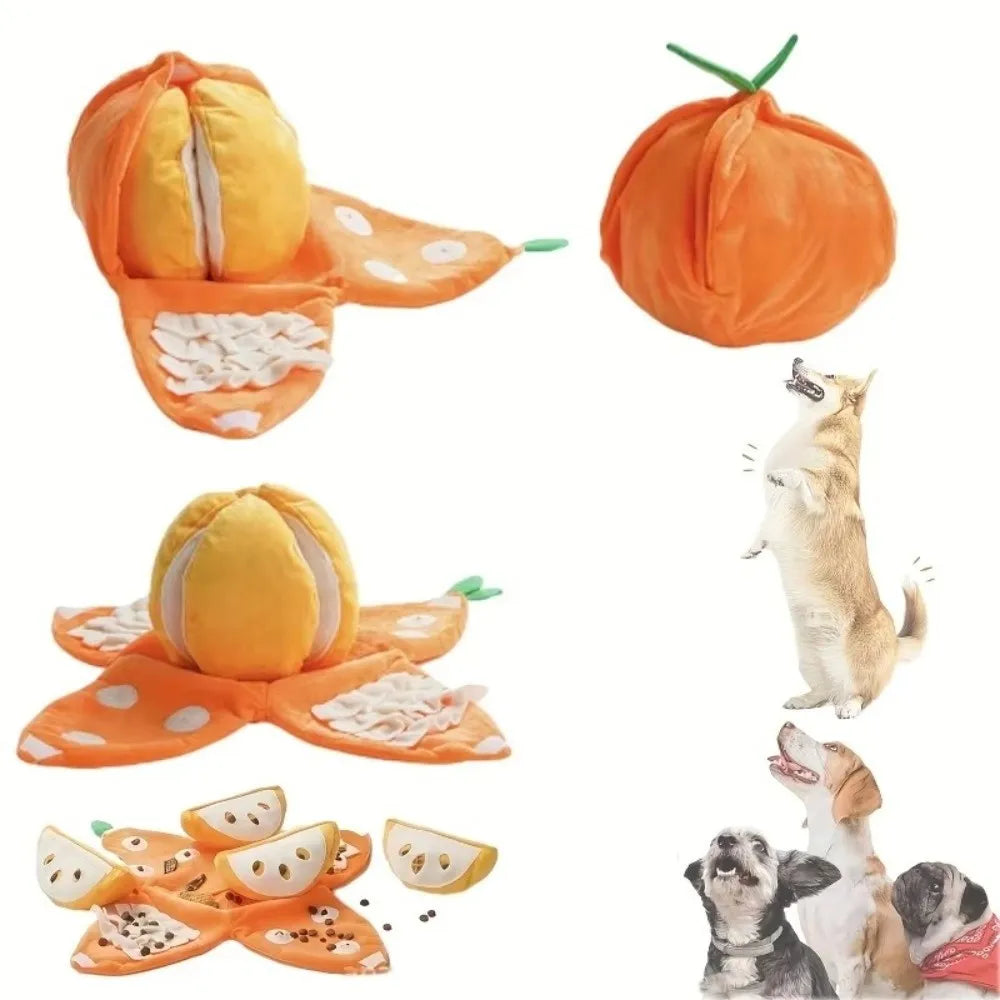 OrangeQuest™ Hide-and-Seek Toy 🍊🐾 Sniff. Search. Smile.