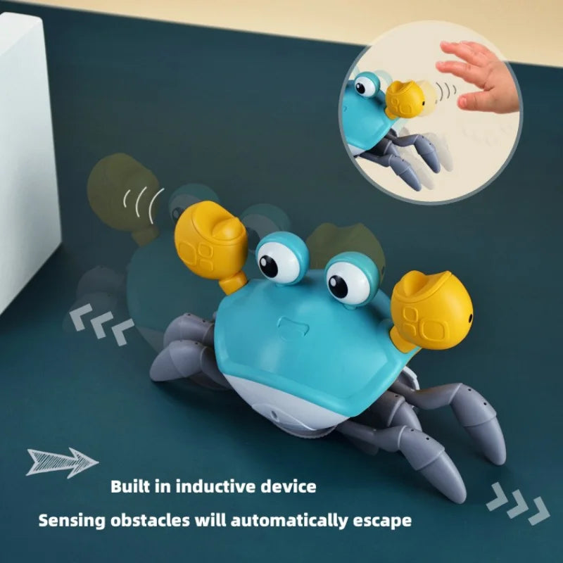 Crawling Crab Toy Shop1102486466 Store