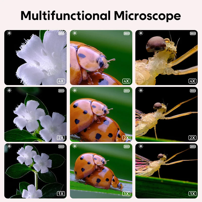 Tiny Explorer: Uncover the Wonders of the Micro World! YPC Toys Store