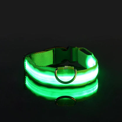 Dog Collar Nylon LED Night Safety Flashing Glow In The Dark Pet Dog Leash pet Dogs Luminous Fluorescent  dog accessories collar Stone's Store