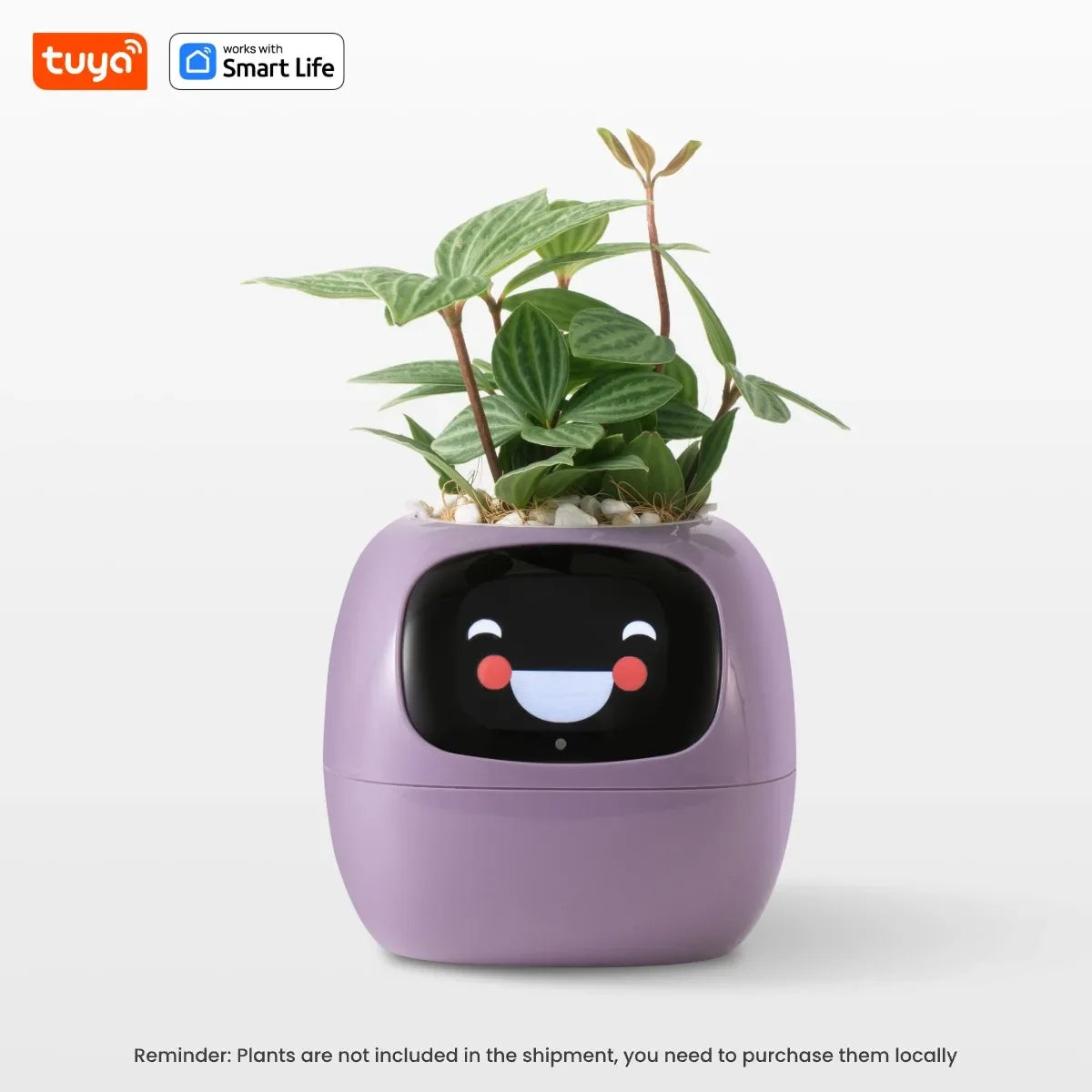 Tuya Ivy Smart Planter Bee Store