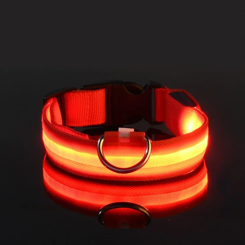 LED Dog Collar – USB Rechargeable, Waterproof & Night Safety Light
