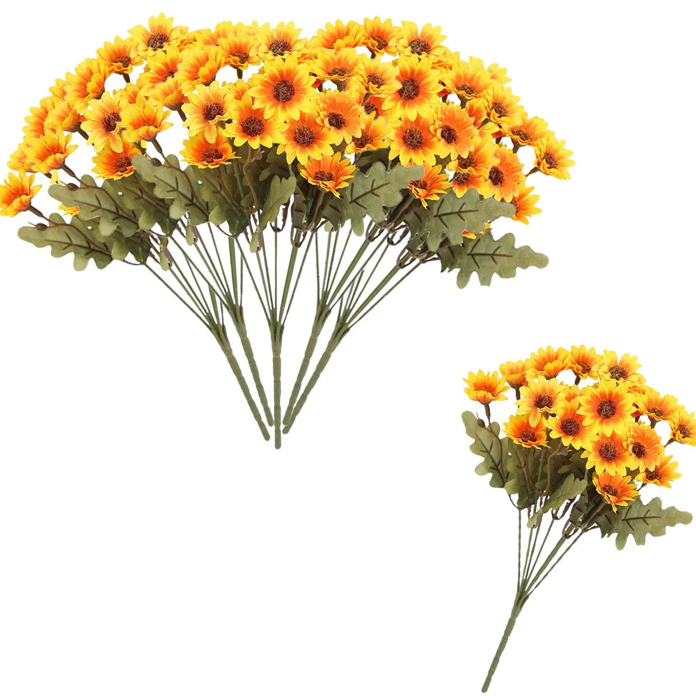 SunsetBloom™ – Crisantemos de exterior duraderos