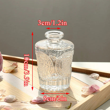 Acrylic Hydroponic Flower Planter House Global Supplies Store