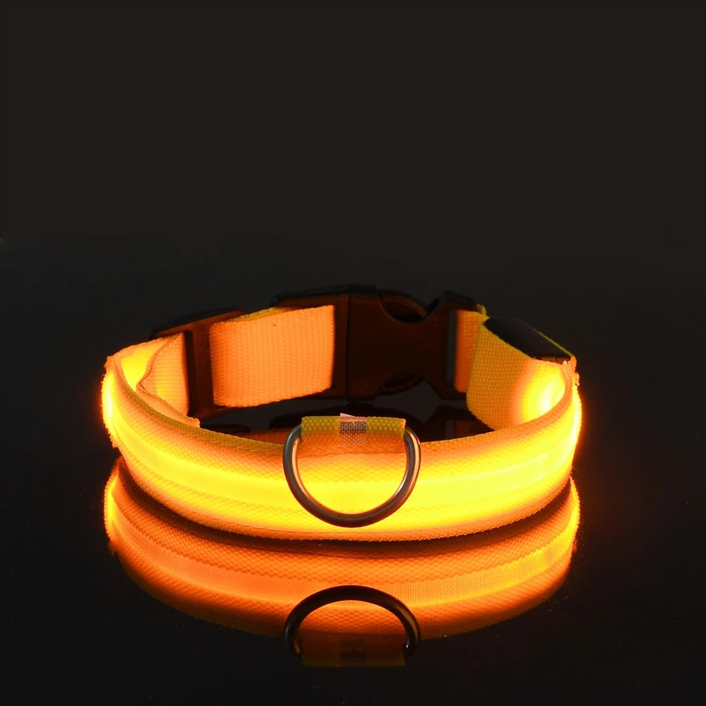 Dog Collar Nylon LED Night Safety Flashing Glow In The Dark Pet Dog Leash pet Dogs Luminous Fluorescent  dog accessories collar Stone's Store