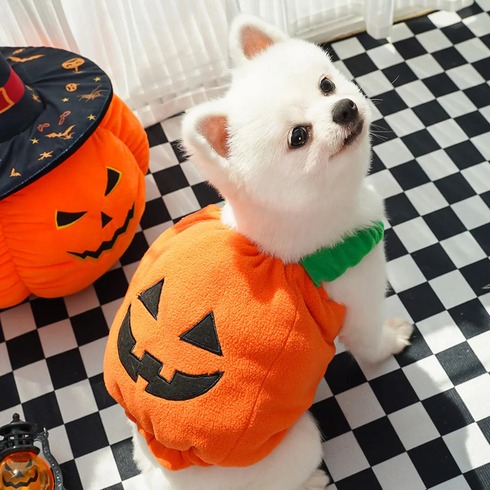 Pet Pumpkin Costume, Dog Funny Halloween Hat Cloth Suit, Adjustabe Cosplay Party Apparel for Cat Kitten Puppy South Bay Evans General Store