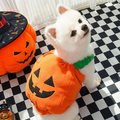 Pet Pumpkin Costume, Dog Funny Halloween Hat Cloth Suit, Adjustabe Cosplay Party Apparel for Cat Kitten Puppy South Bay Evans General Store