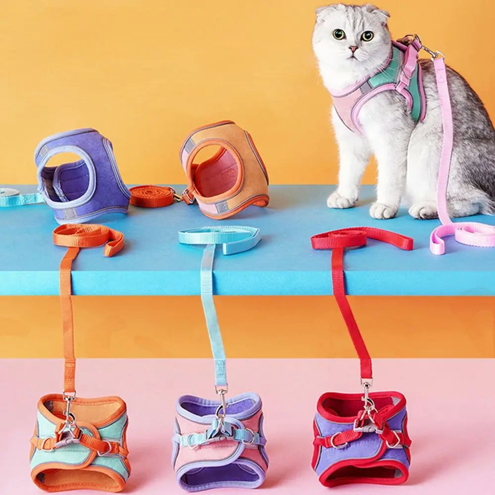 Small Cat Leash and Harness Set – Reflective, Escape-Proof with Bell" Shop1102981138 Store