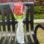 Large Wide Neck Transparent Bobo Balloon Flower Bouquet Doll Snack AliExpress