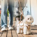 AdventurePup™ Harness Set 🦴✨ — Backpack, Leash & Harness in One