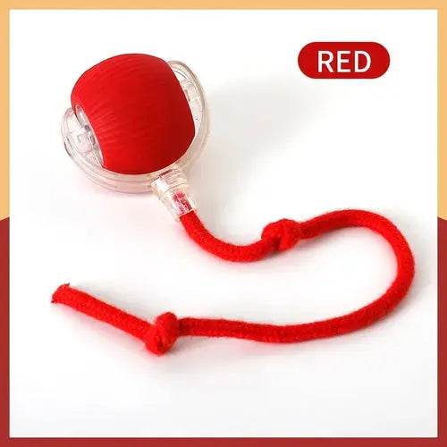 Juguetes inteligentes para gatos, bola rodante automática, cola falsa, eléctrica recargable