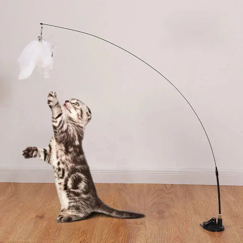 Interactive Cat Toy Handfree Cat Stick Playing Kitten Playing Teaser