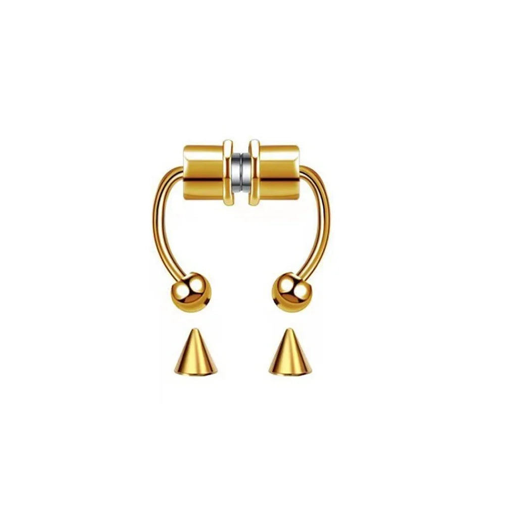 Magnet Nose Ring 5 Pack Stone's Store