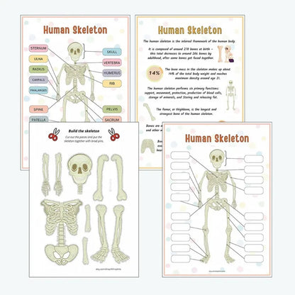 Explore & Play: Interactive Anatomy Busy Book