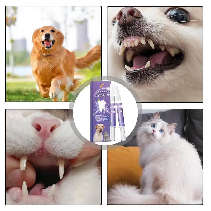 Fresh Breath, Happy Pets: Oral Repair Gel Arrangement LK Store