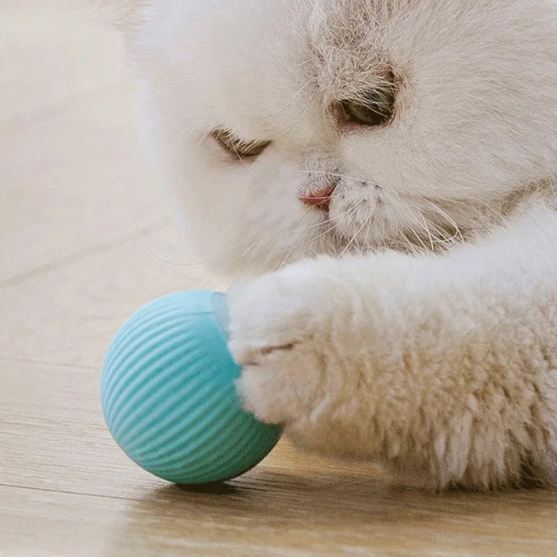 Cat Interactive Ball Smart Pet Cat Toys Indoor Automatic Rolling Magic