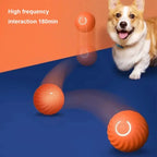 Smart Dog Interactive Pet Toy Life-Home Store