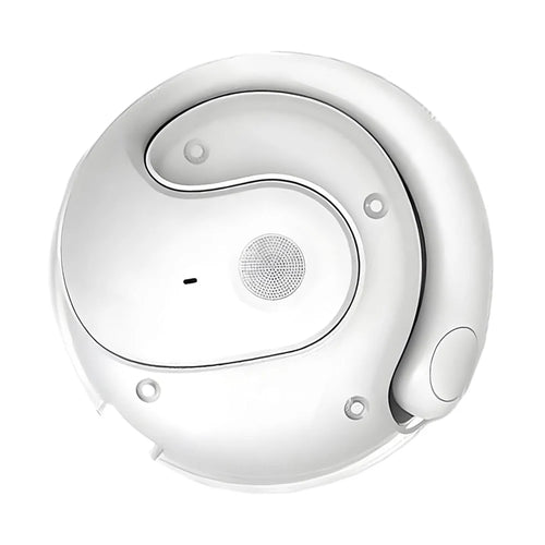 Wireless BT Translation Earbuds Real-time Translation Language AliExpress
