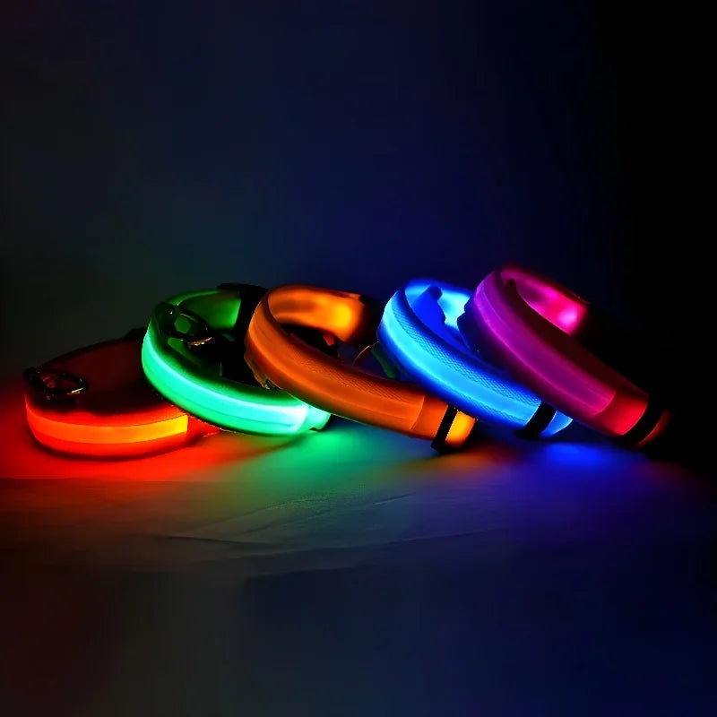 LED Dog Collar – USB Rechargeable, Waterproof & Night Safety Light