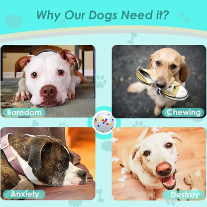 Bite Resistant Solid Dog Ball Toys for Small Large Dogs High