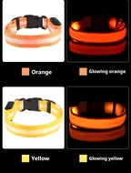 Dog Collar Nylon LED Night Safety Flashing Glow In The Dark Pet Dog Leash pet Dogs Luminous Fluorescent  dog accessories collar 7609 Pet Store