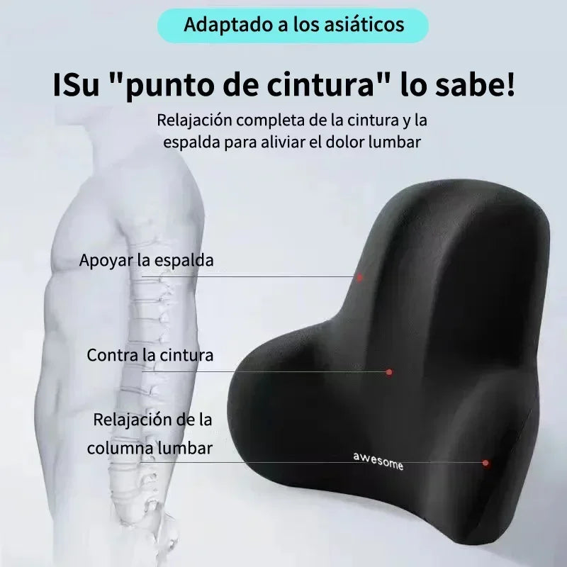 Cojín lumbar