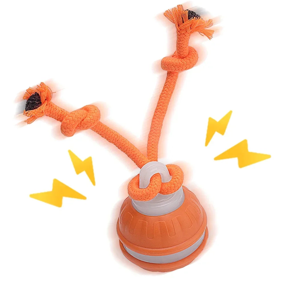 RolliPlay™ Smart Pet Ball 🐾⚡ Endless Chase Fun