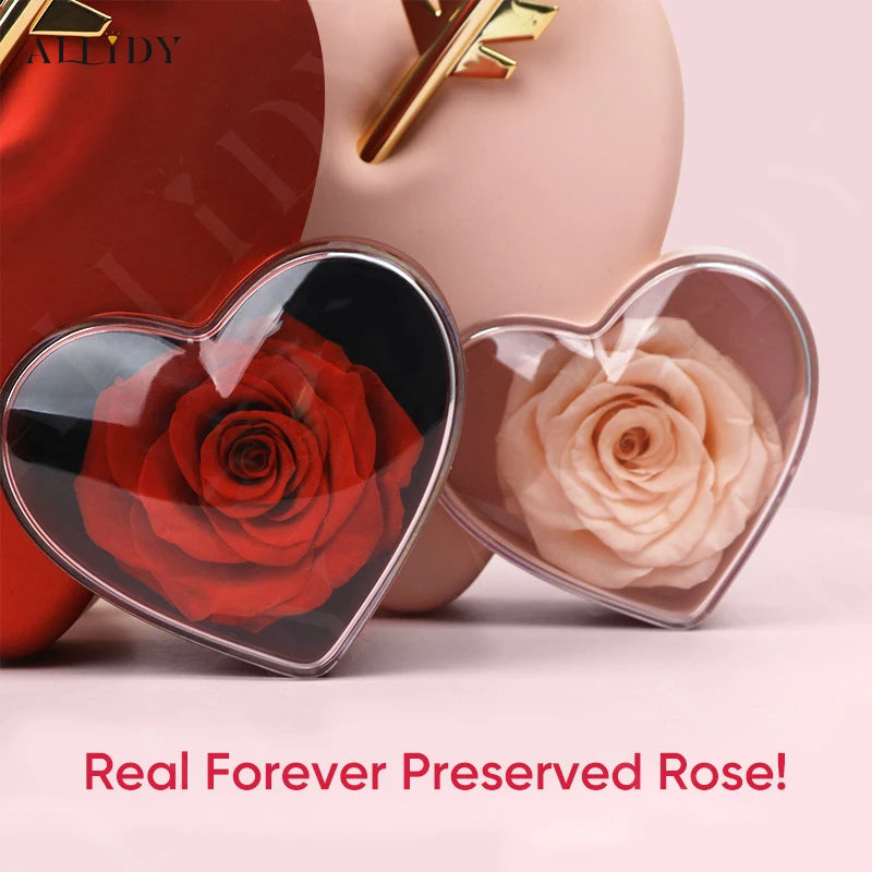 Romantic Heart-Piercing Rose Jewelry Box – A Timeless Valentine’s Keepsake Allidy Jewelry & Watches Store