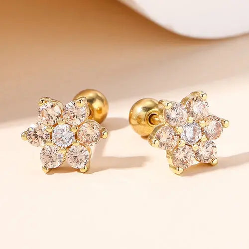 Women's Delicate Acupuncture Points Weight Loss Earrings Cubic