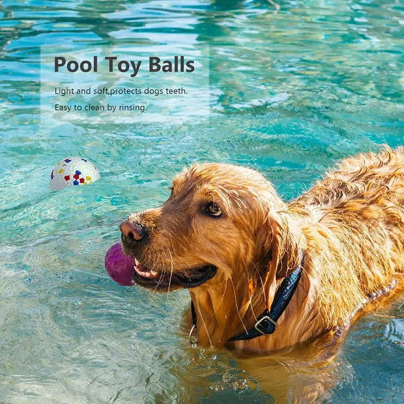 Bite Resistant Solid Dog Ball Toys for Small Large Dogs High