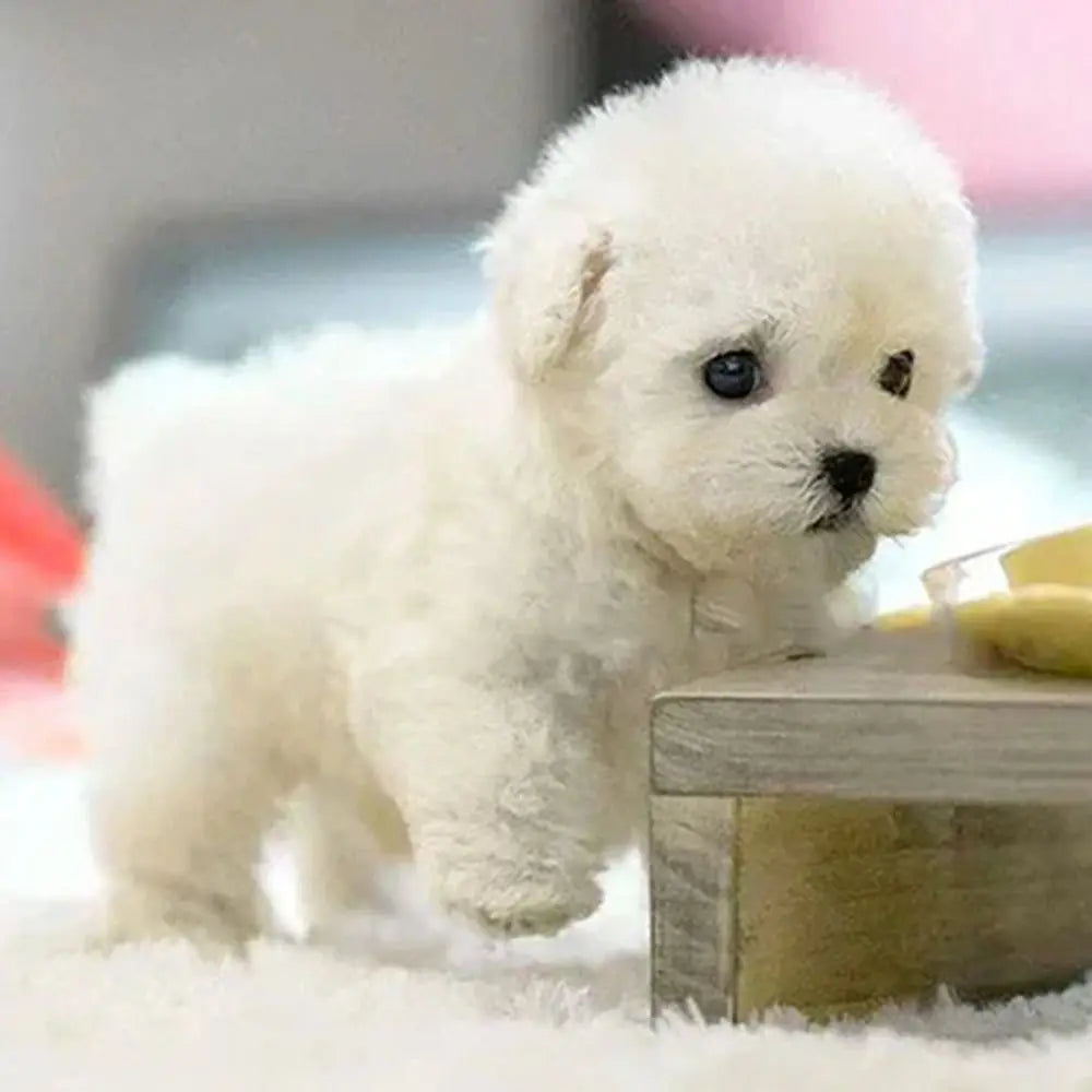 PawBuddy™ – El perro robot realista