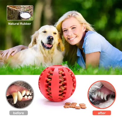 Dog Food Ball Pet Dog Toy Interactive Rubber Balls for Small Large