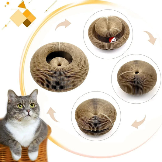Magic Organ Cat Toy Cats Scratcher Scratch Board Round Corrugated AliExpress