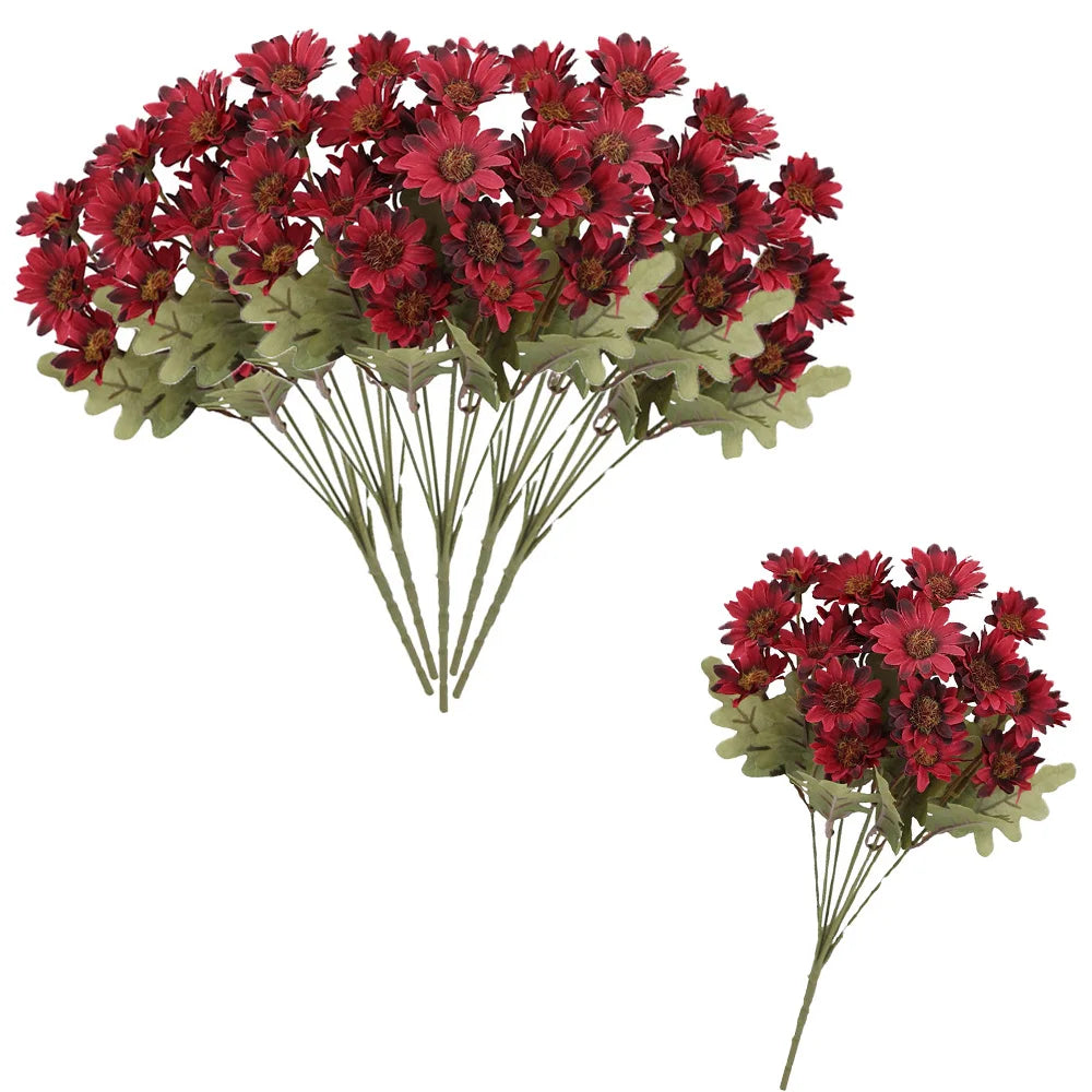 SunsetBloom™ – Crisantemos de exterior duraderos
