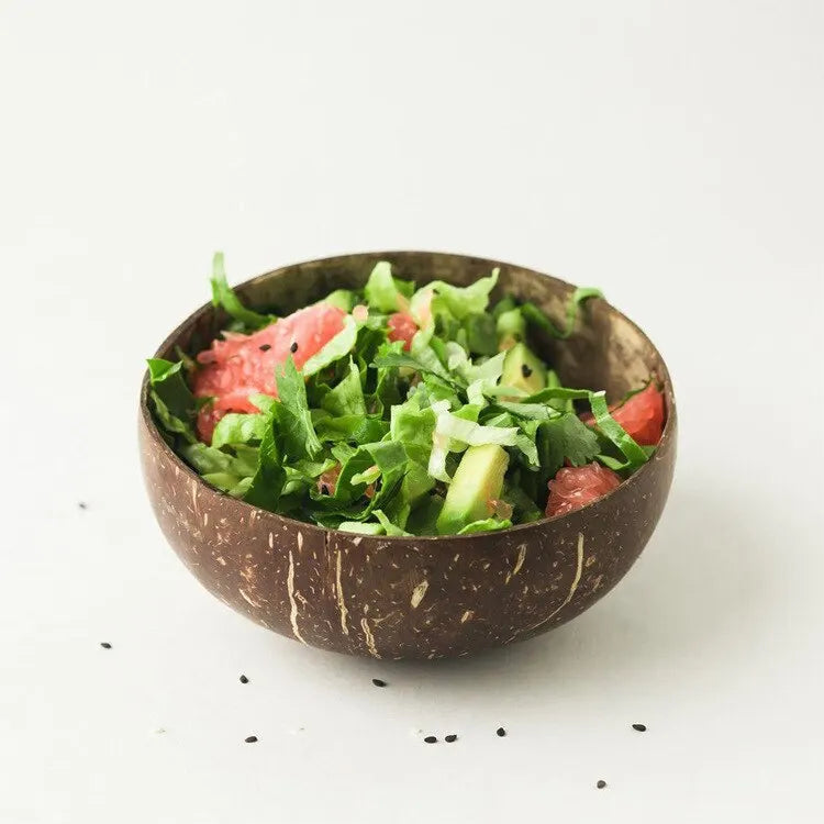 Natural Coconut Shell Bowls TTkewyy Store