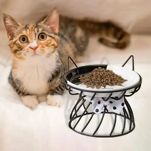 Cat Bowl Dog Bowl Pet Food Water Feeder Drinker Cat Raised Elevated