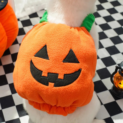 Pet Pumpkin Costume, Dog Funny Halloween Hat Cloth Suit, Adjustabe Cosplay Party Apparel for Cat Kitten Puppy South Bay Evans General Store