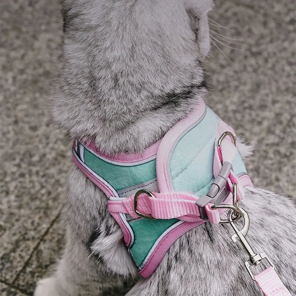 Small Cat Leash and Harness Set – Reflective, Escape-Proof with Bell" Shop1102981138 Store