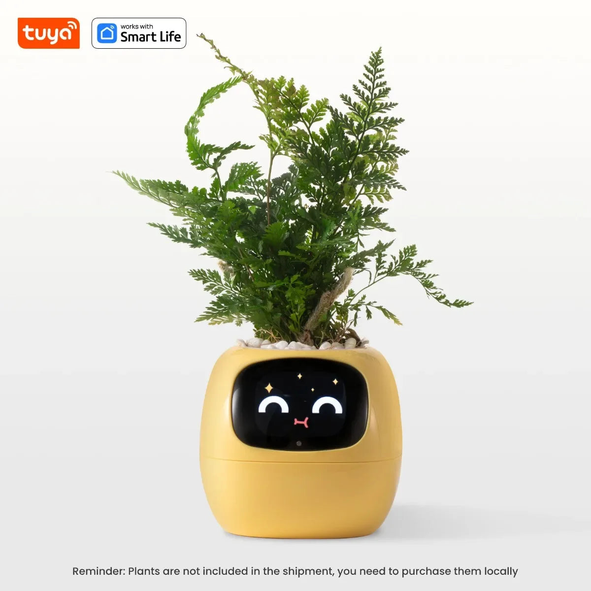Tuya Ivy Smart Planter Bee Store