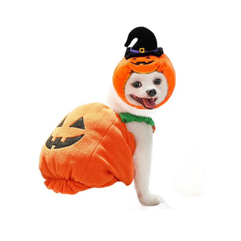 Pet Pumpkin Costume, Dog Funny Halloween Hat Cloth Suit, Adjustabe Cosplay Party Apparel for Cat Kitten Puppy South Bay Evans General Store