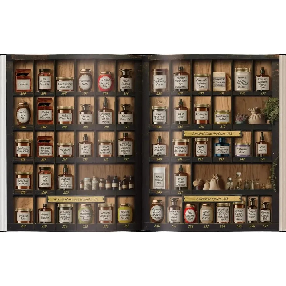 Forgotten Home Apothecary : 250 Powerful Remedies at Your Fingertips