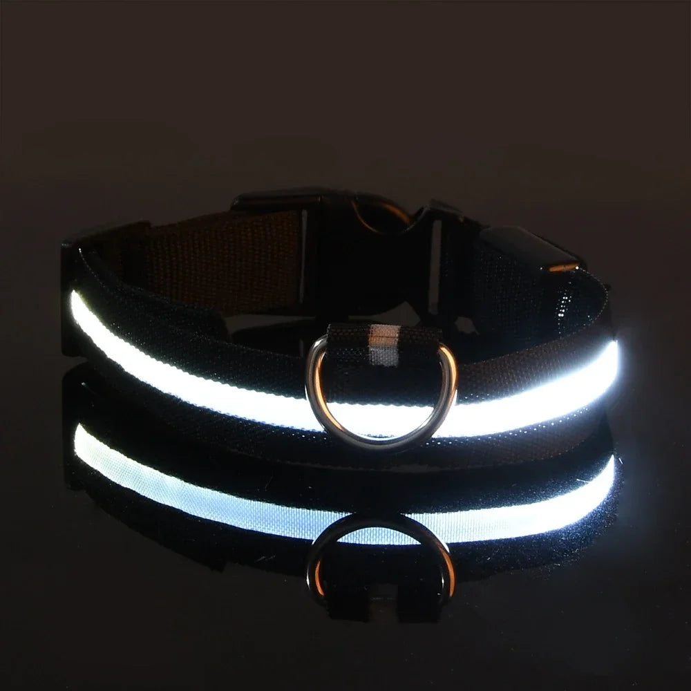 LED Dog Collar – USB Rechargeable, Waterproof & Night Safety Light