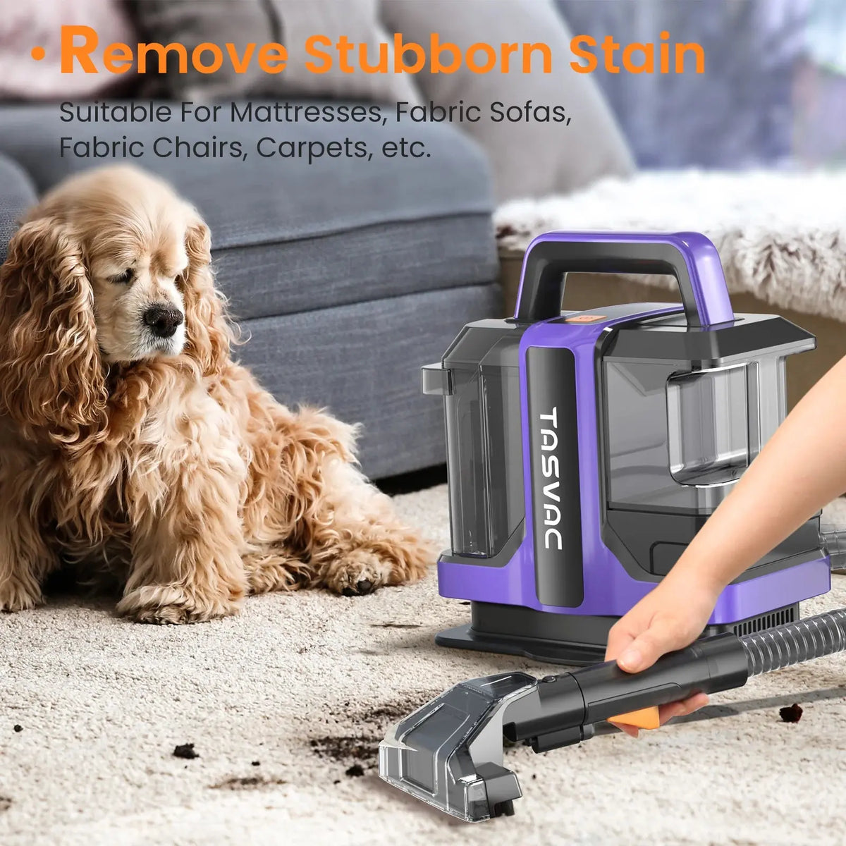 TASVAC C7 Portable Carpet & Upholstery Cleaner Machine, Spot And Stain Deep Cleaner With Two Brushes & Remover Formula For Pets, Inselife Store