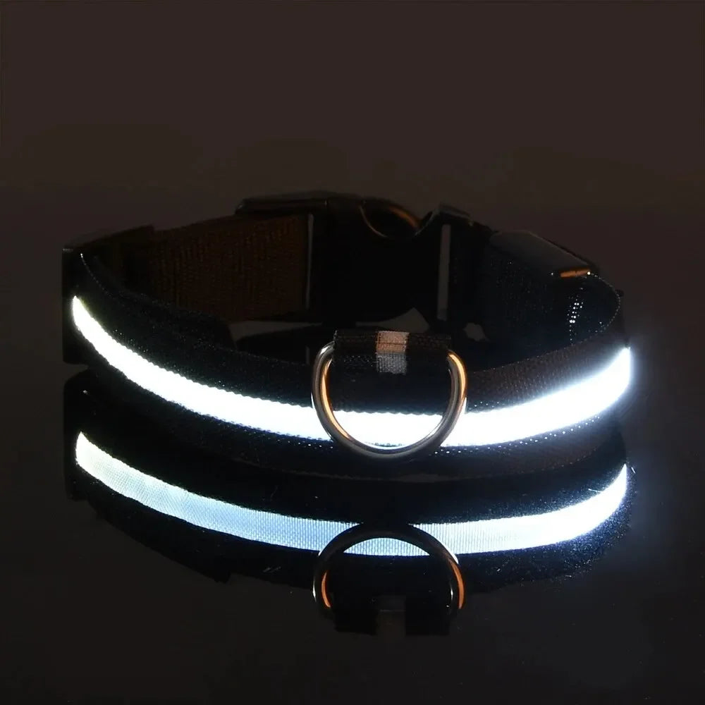 LED Dog Collar – USB Rechargeable, Waterproof & Night Safety Light